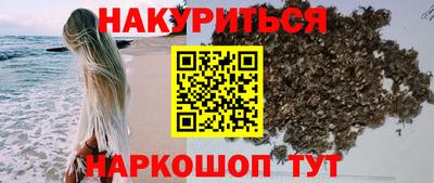 Альфа ПВП Новозыбков