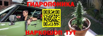 мяу мяу мука Новодвинск