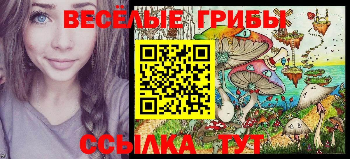 Галлюциногенные грибы Magic Shrooms Ставрополь